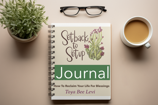 Setback To Setup Journal: How To Reclaim Your Life For Blessings (Pre-Order)